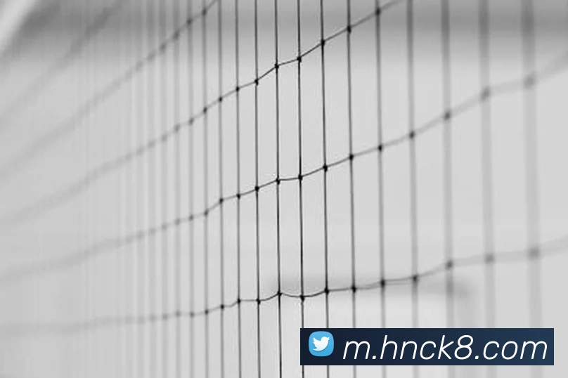 凯发K8APP 封面图